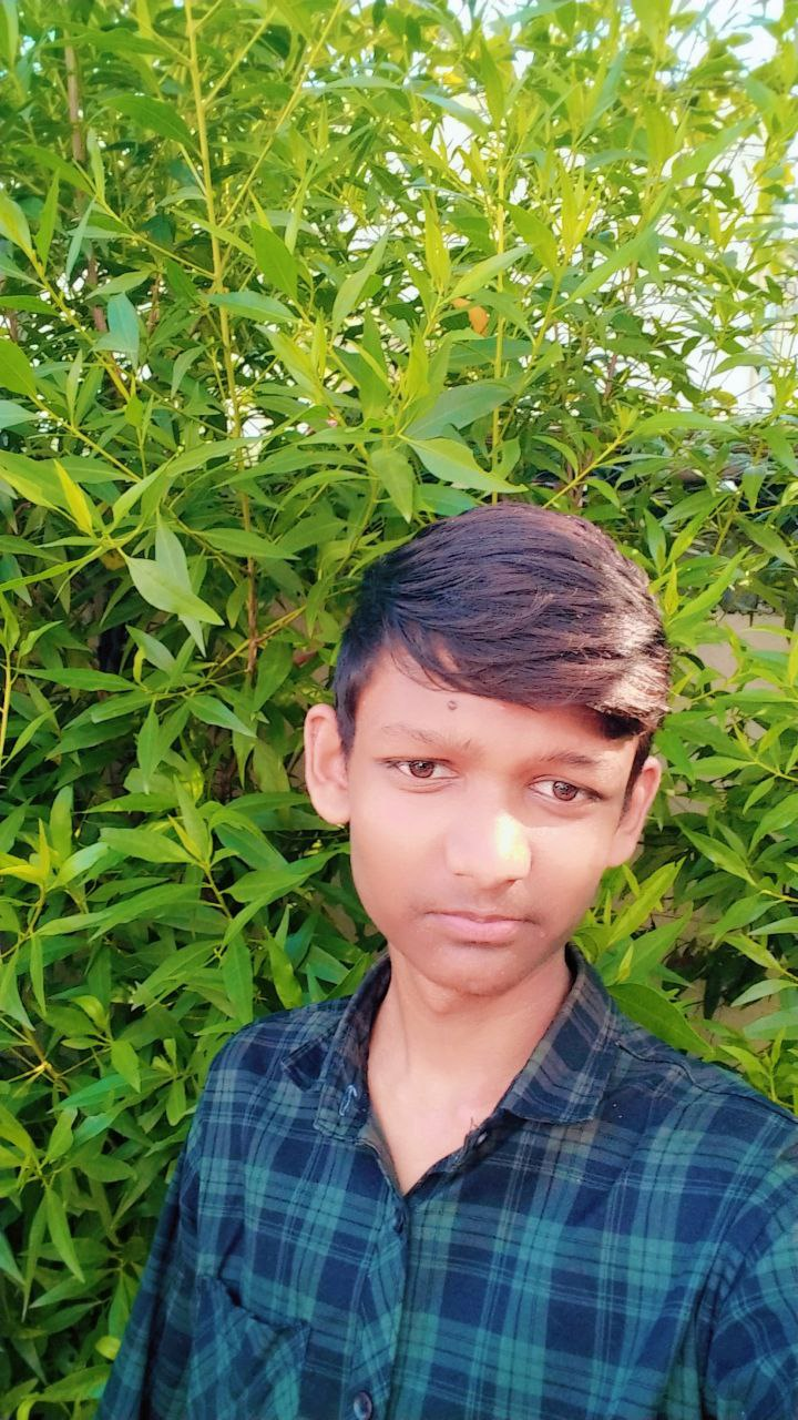 Your Photo
